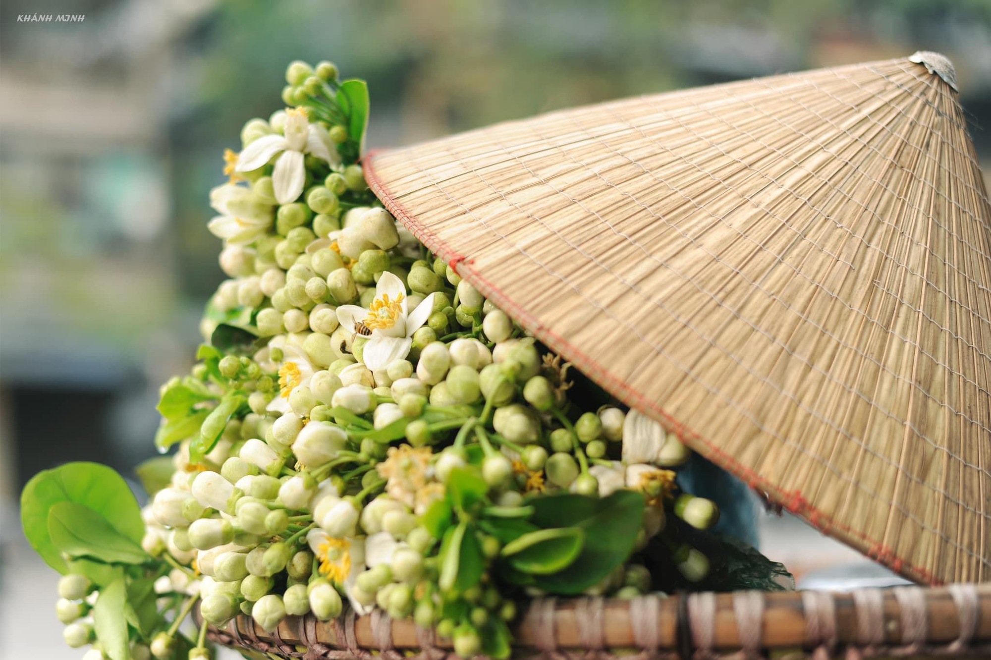 Món ăn thanh cảnh của người Hà Nội: Đặc sản tháng 3 mang hương vị thơm ngát không phải ai cũng biết đến-1