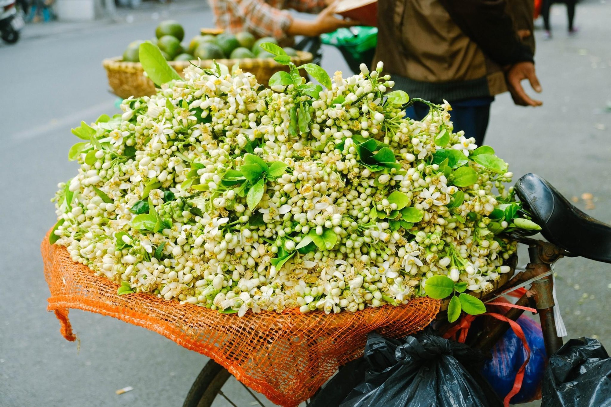 Món ăn thanh cảnh của người Hà Nội: Đặc sản tháng 3 mang hương vị thơm ngát không phải ai cũng biết đến-2