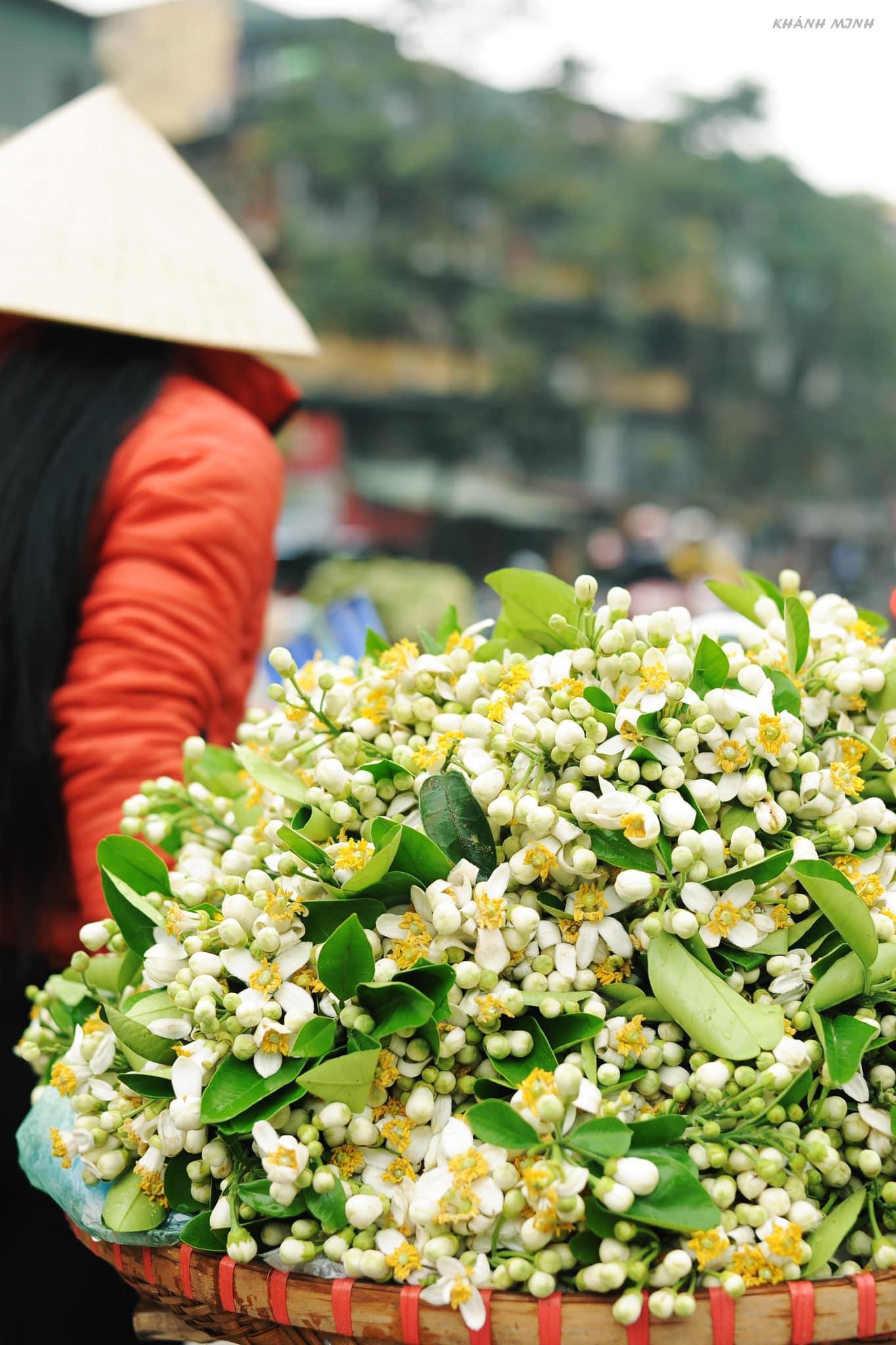 Món ăn thanh cảnh của người Hà Nội: Đặc sản tháng 3 mang hương vị thơm ngát không phải ai cũng biết đến-3