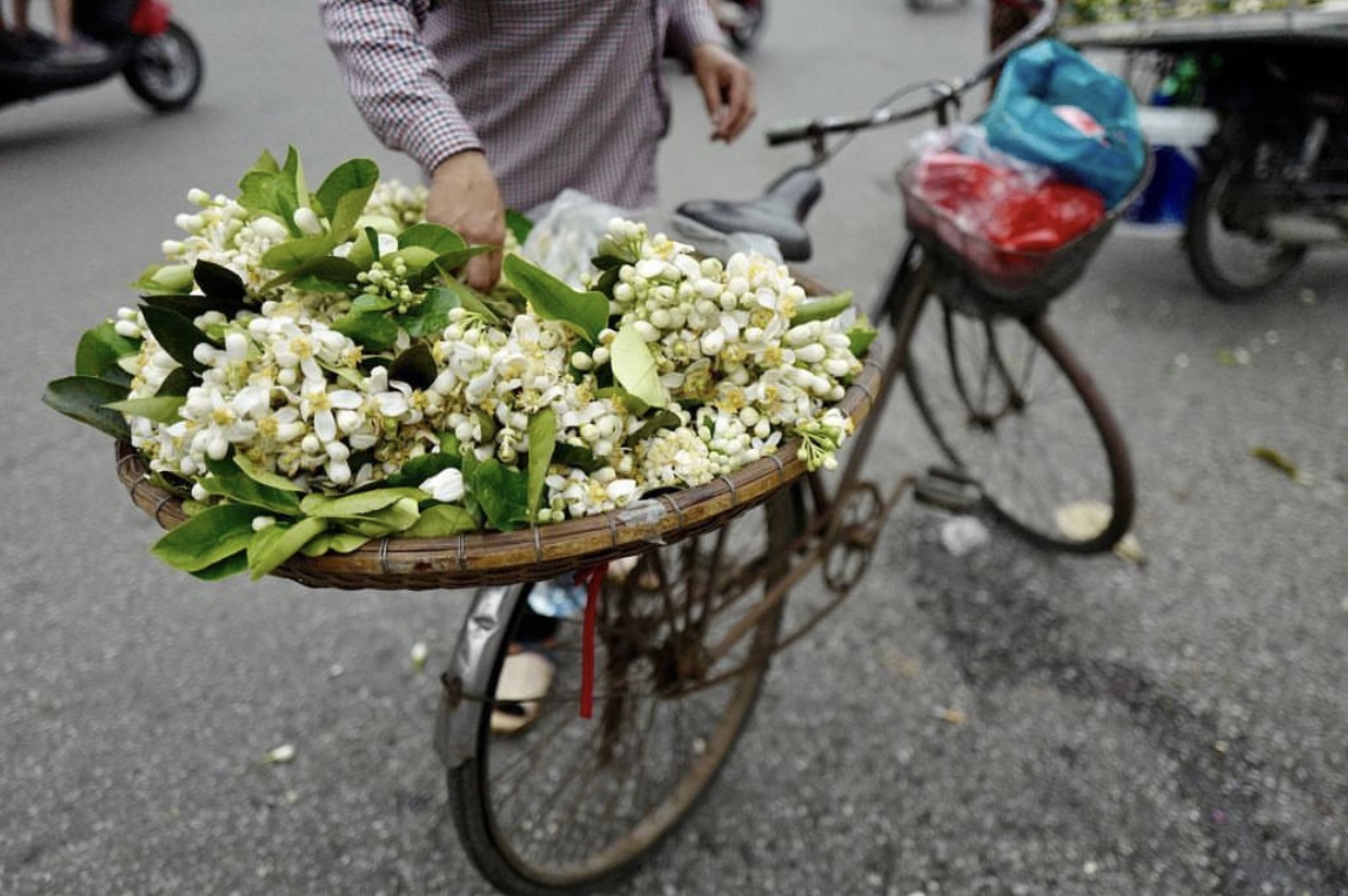 Món ăn thanh cảnh của người Hà Nội: Đặc sản tháng 3 mang hương vị thơm ngát không phải ai cũng biết đến-5