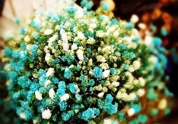 Tin tức trực tuyến