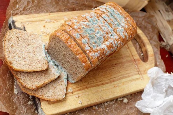 Đồ ăn mốc là kẻ thù của gan, tụy, tăng nguy cơ ung thư, duy trì 4 kiểu ăn này càng rước họa vào thân-2