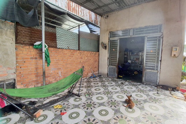 Cụ bà tử vong sau khi bị bò điên húc: Trách nhiệm của chủ con bò ra sao?-4