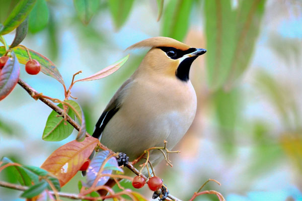 Gia đình có 3 con giáp này mỗi ngày một niềm vui mới, rắc rối lùi xa, không ai tụt lại phía sau-5