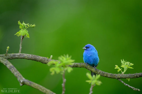 Phụ nữ sinh tháng Âm lịch này xinh đẹp, quyến rũ, cả đời đào hoa rực rỡ, nhiều người theo đuổi-2