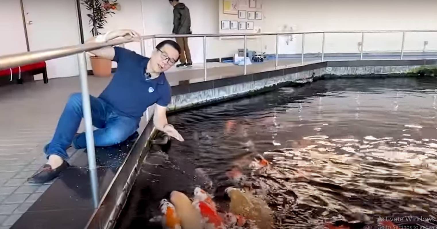 Sau 1 năm kết hôn ồn ào, cuộc sống của Vua cá Koi ra sao?-7