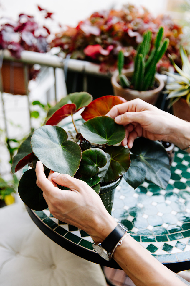 Cách thiết kế ban công nhỏ cho nhà phố để vừa ngập cây xanh mà còn thư giãn-2