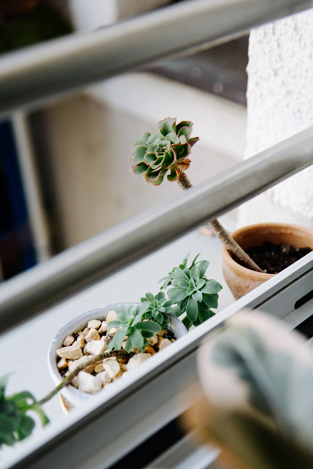 Cách thiết kế ban công nhỏ cho nhà phố để vừa ngập cây xanh mà còn thư giãn-4