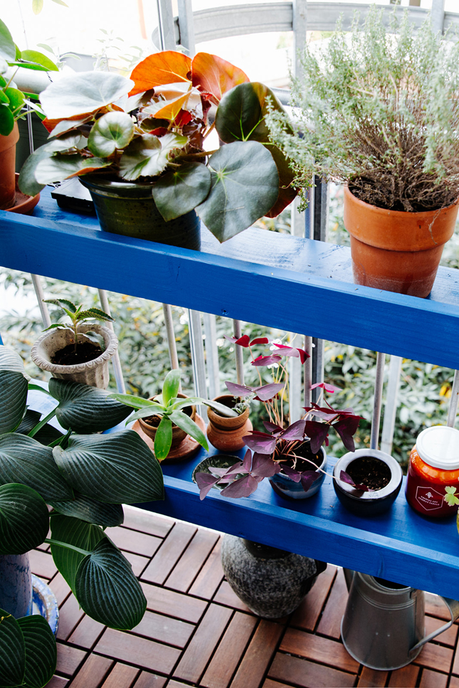 Cách thiết kế ban công nhỏ cho nhà phố để vừa ngập cây xanh mà còn thư giãn-6