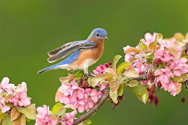 Gia đình có 3 con giáp này mỗi ngày một niềm vui mới, rắc rối lùi xa, không ai tụt lại phía sau-1