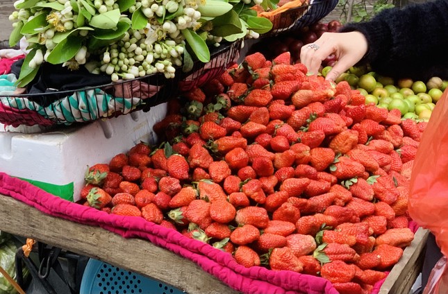 Hà Nội: Hoa quả đặc sản tưởng rẻ hóa đắt, loại đắt giá lại rẻ không tưởng-4