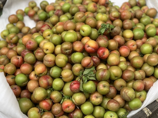Hà Nội: Hoa quả đặc sản tưởng rẻ hóa đắt, loại đắt giá lại rẻ không tưởng-5