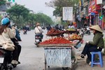 Cận cảnh lồng bàn đắt nhất Việt Nam, giá 30 triệu đồng/chiếc-17