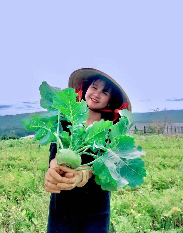 Cô gái bỏ phố lên Đà Lạt chữa lành: Chưa kịp làm gì thì tiêu gần 100 triệu, mượn tiền thuê đất trồng rau duy trì cuộc sống-1