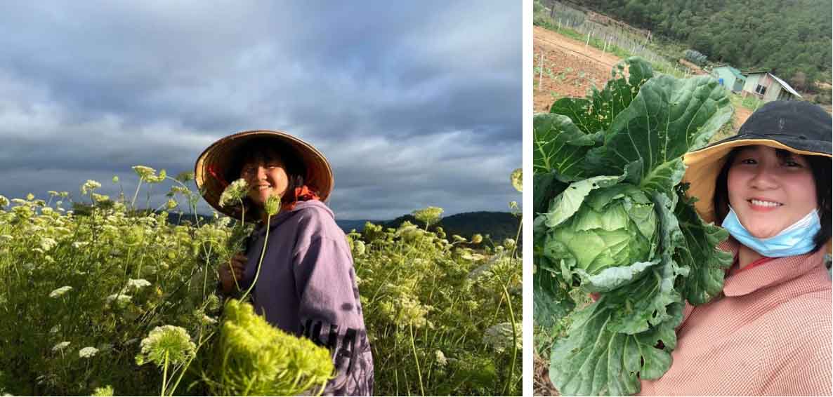 Cô gái bỏ phố lên Đà Lạt chữa lành: Chưa kịp làm gì thì tiêu gần 100 triệu, mượn tiền thuê đất trồng rau duy trì cuộc sống-2