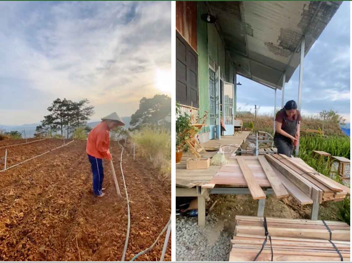 Cô gái bỏ phố lên Đà Lạt chữa lành: Chưa kịp làm gì thì tiêu gần 100 triệu, mượn tiền thuê đất trồng rau duy trì cuộc sống-5