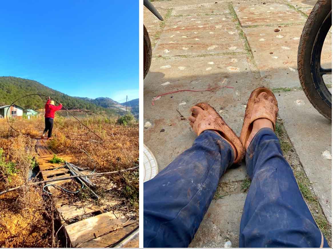 Cô gái bỏ phố lên Đà Lạt chữa lành: Chưa kịp làm gì thì tiêu gần 100 triệu, mượn tiền thuê đất trồng rau duy trì cuộc sống-6