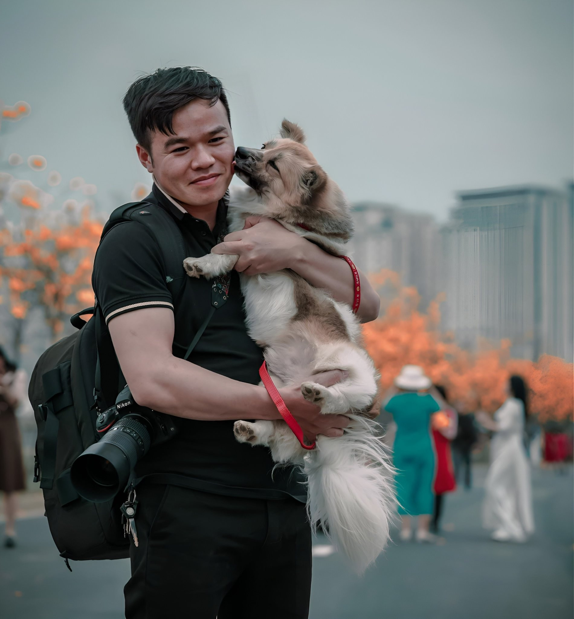 Con đường tình yêu giữa lòng Hà Nội thay màu lá, cảnh đẹp tựa mùa thu Hàn Quốc-1