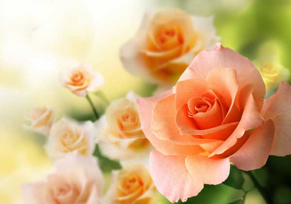 Sinh vào 4 tháng Âm lịch này, giỏi giao tiếp, tư duy linh hoạt, năm 2023 đạt đỉnh cao sự nghiệp-2