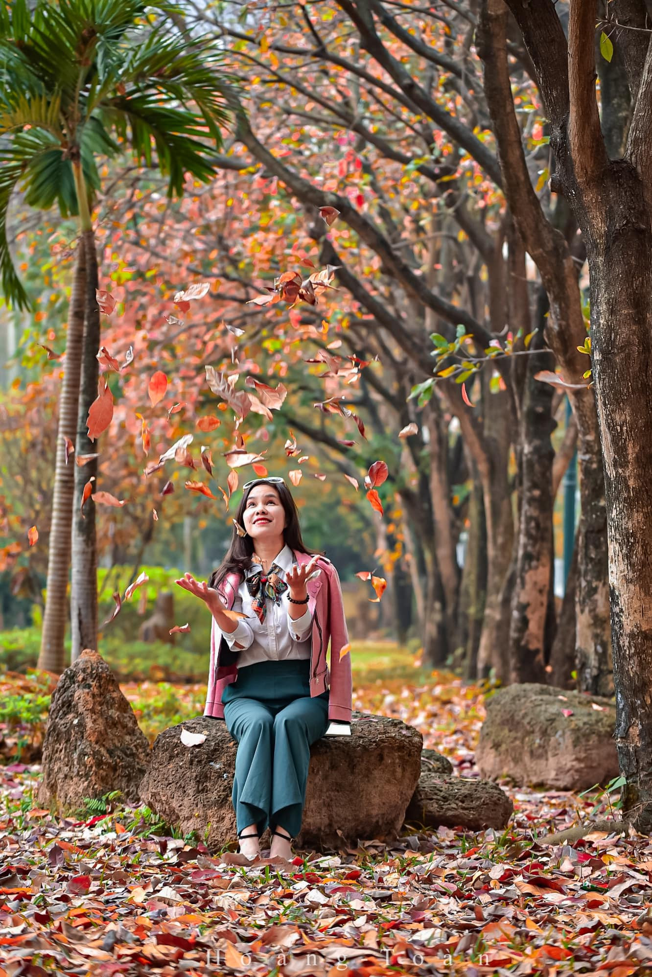 Con đường tình yêu giữa lòng Hà Nội thay màu lá, cảnh đẹp tựa mùa thu Hàn Quốc-2