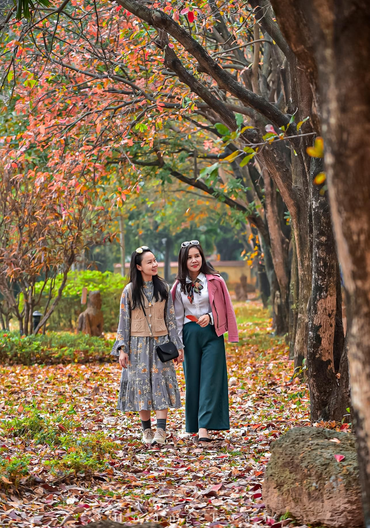 Con đường tình yêu giữa lòng Hà Nội thay màu lá, cảnh đẹp tựa mùa thu Hàn Quốc-10