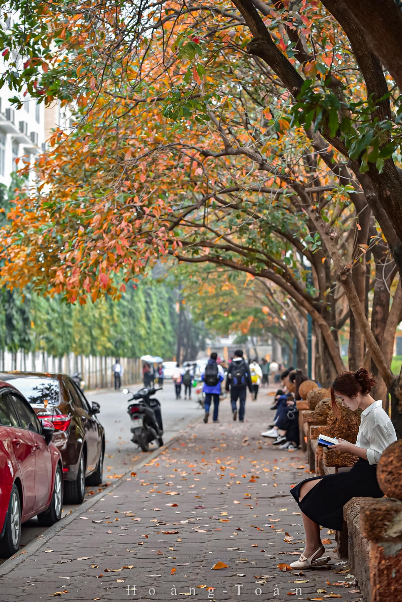 Con đường tình yêu giữa lòng Hà Nội thay màu lá, cảnh đẹp tựa mùa thu Hàn Quốc-7