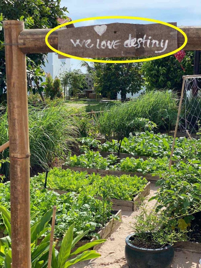 Choáng váng nhìn sao Việt mạnh tay xây khu vui chơi cho con trong biệt thự tiền tỷ-10