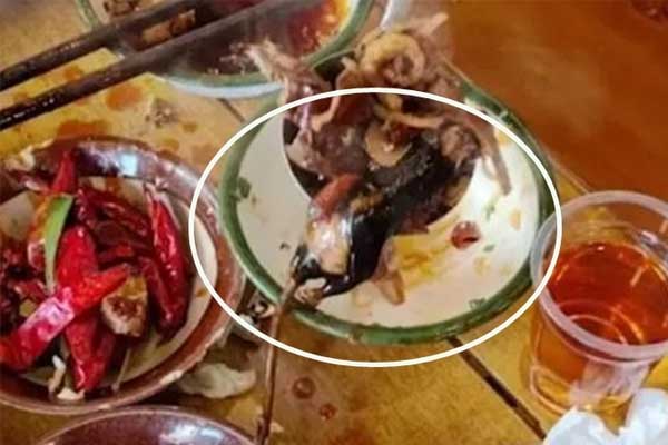 Ăn gần hết nồi lẩu phát hiện chuột chết bên trong, thực khách gọi cảnh sát-1