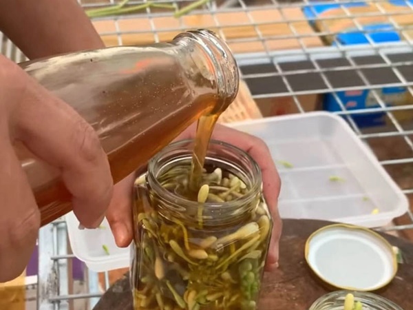 3 thứ đem ngâm với mật ong là thuốc bổ thượng hạng, toàn loại không xa lạ ở chợ Việt-2