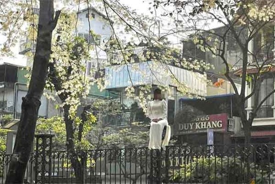Bất chấp để có ảnh sống ảo