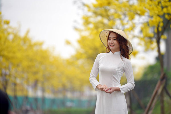 Dự báo thời tiết ngày 7/3: Bắc Bộ bao phủ sương mù, đêm rét-1