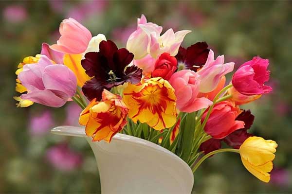 Tử vi ngày 7/3/2023 của 12 cung hoàng đạo: Bạch Dương tài chính tạm ổn, Nhân Mã năng lượng dồi dào-3