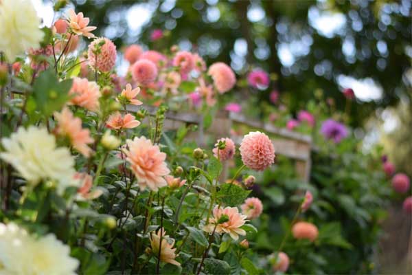 Tử vi ngày 7/3/2023 của 12 cung hoàng đạo: Bạch Dương tài chính tạm ổn, Nhân Mã năng lượng dồi dào-4