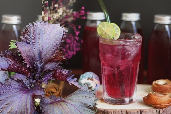 3 cách dùng lá tía tô giúp chị em đẹp từ trong ra ngoài-3