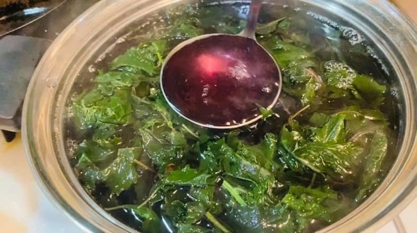 3 cách dùng lá tía tô giúp chị em đẹp từ trong ra ngoài-4