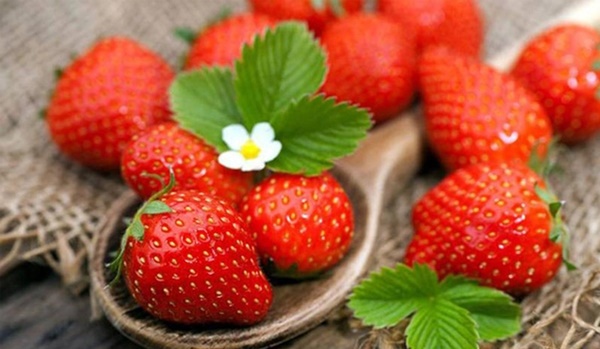 5 loại hoa quả cải thiện khả năng sinh sản ở cả nam và nữ-5