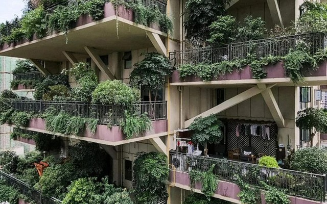 Người xưa dặn: 5 vật không bày ở ban công, gia đình vô bệnh vô tai-5