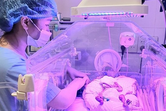 Nuôi sống bé sơ sinh nặng 700 g