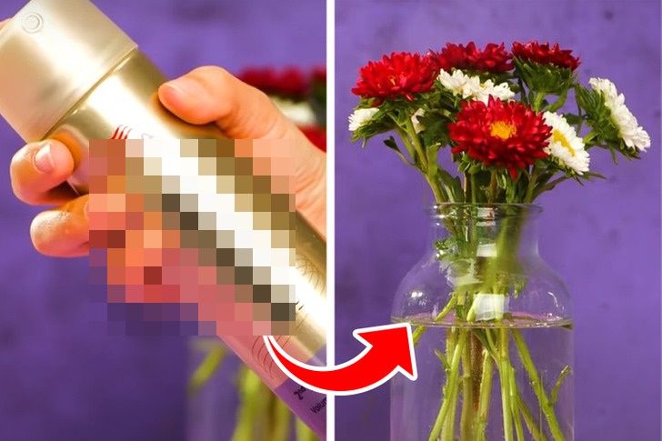 5 cách giữ cho ngôi nhà sạch sẽ mà không cần thiết bị quá tốn kém-4