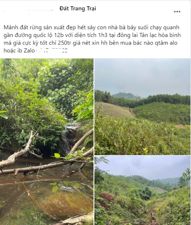 Rầm rộ rao bán đất rừng sản xuất, mỗi m2 giá bằng gói bim bim-1
