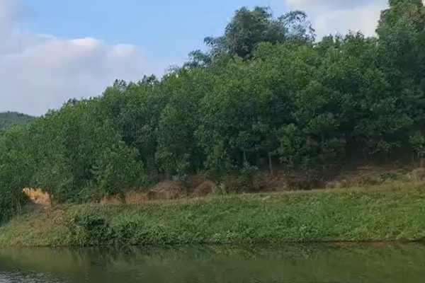 Nhà đầu tư dở khóc, dở cười” vì góp vốn đầu tư mua chung bất động sản-1