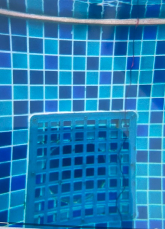 Mẹ bé trai người Nhật gửi đơn khiếu nại đối với quyết định tạm đình chỉ điều tra-4