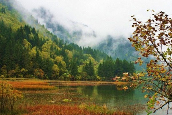 Phụ nữ sinh tháng Âm lịch này mạnh mẽ, tự chủ, vững vàng trước áp lực, chim sẻ hóa phượng hoàng-1