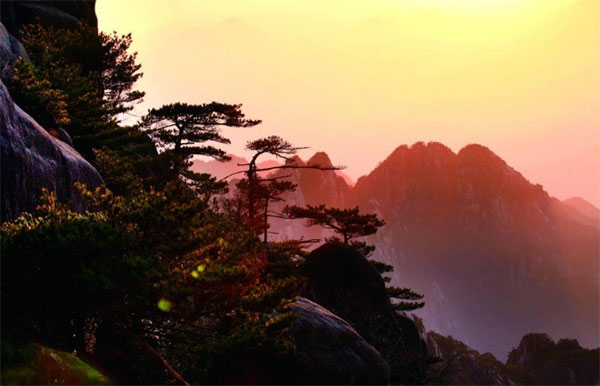 Phụ nữ sinh tháng Âm lịch này mạnh mẽ, tự chủ, vững vàng trước áp lực, chim sẻ hóa phượng hoàng-2