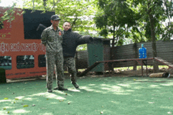 Nghề huấn luyện nghiệp vụ cho 'siêu khuyển', dạy cún cưng biết vâng lời
