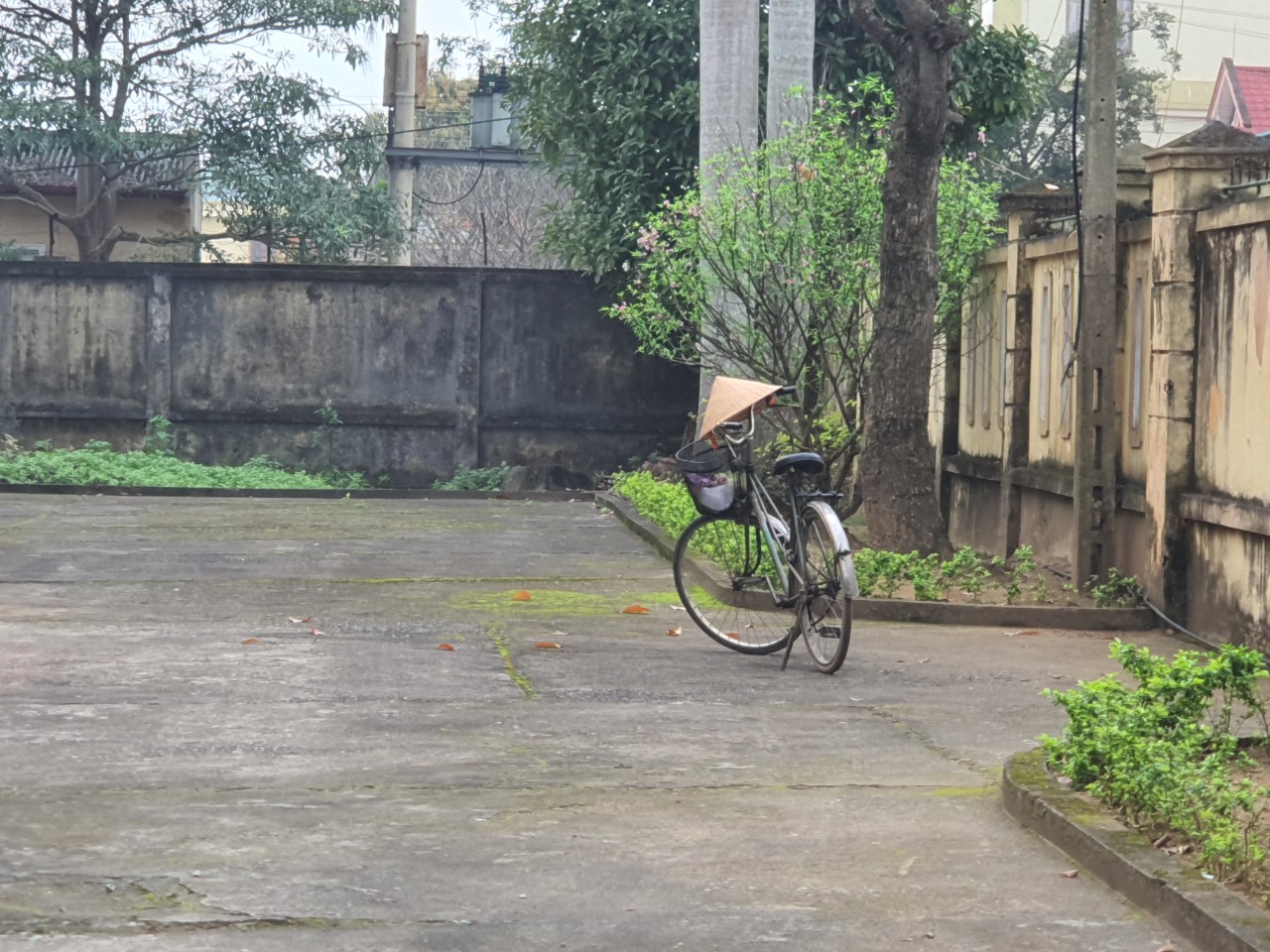 Nặng trĩu tình mẹ giữa chốn pháp đình-5