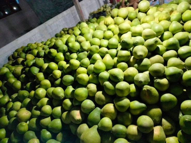 Loại bưởi nhập khẩu giá 200.000 đồng/quả, chưa về hàng đã bán được cả trăm quả-2