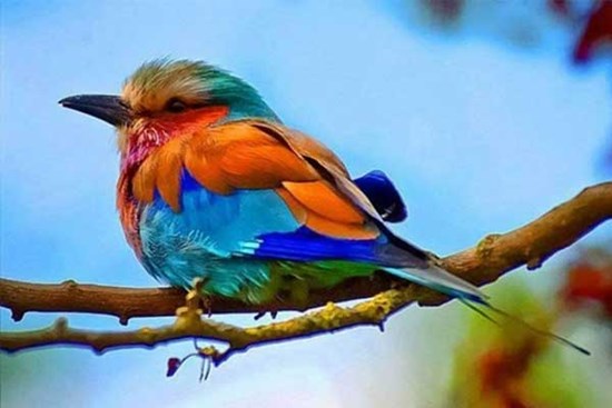 Năm 2023, 3 con giáp vượt qua khủng hoảng một cách suôn sẻ, nghèo khó cũng 