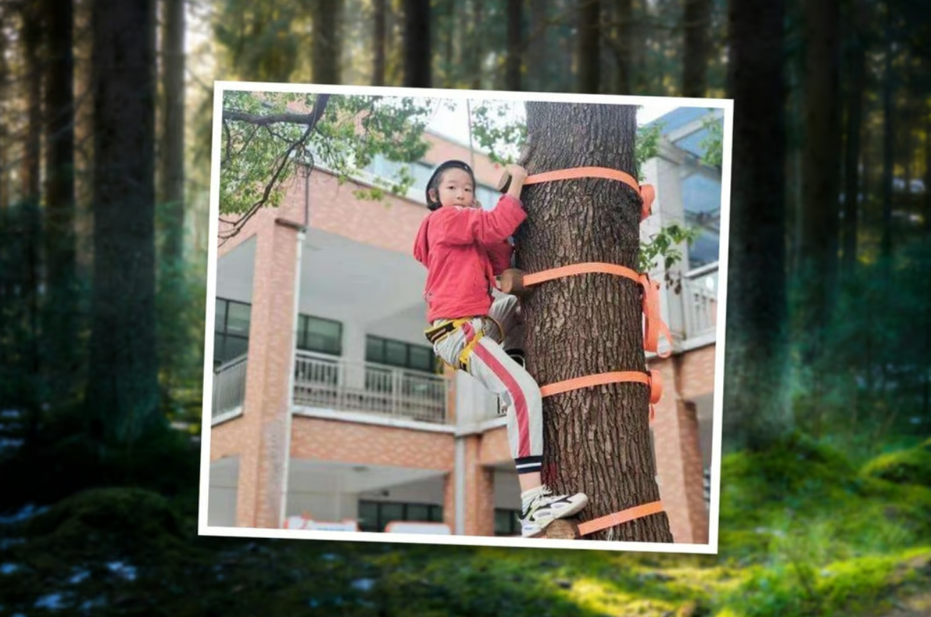 Trường thưởng học sinh bằng trải nghiệm trèo cây, bắt cá thay vì giấy khen-1