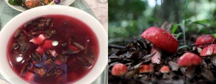 Nhìn tưởng nấm độc, thực chất là thuốc bổ tự nhiên giá bạc triệu/kg-1